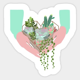 Succulents in heart shaped terrarium Sticker